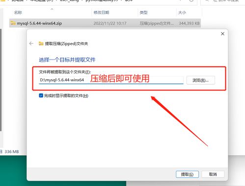 MySQL數(shù)據(jù)庫 從下載安裝到基礎服務部署